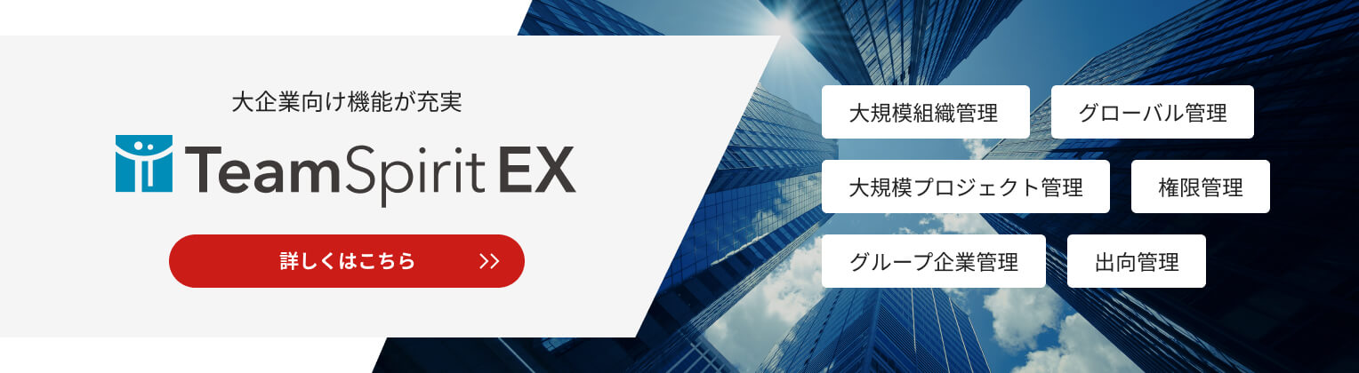 大企業向けエディションTeamSpirit EX